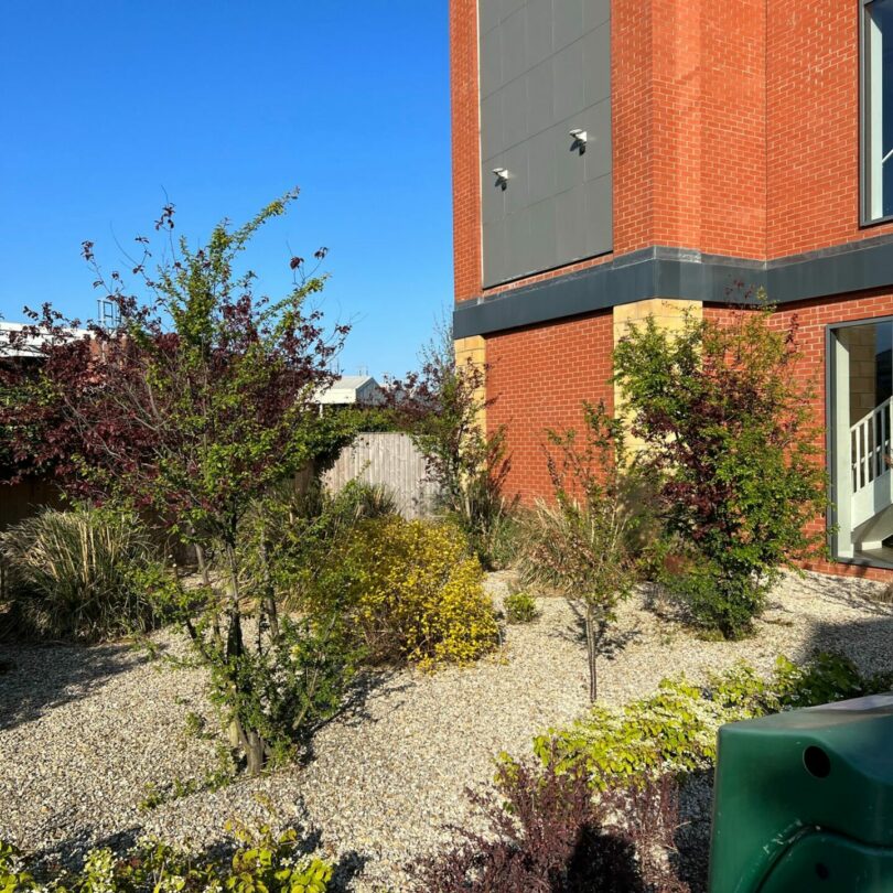 WhatsApp Image 2025-12-10 at 08.53.01