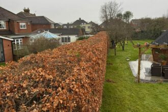 WhatsApp Image 2025-12-10 at 08.53.04 (3)