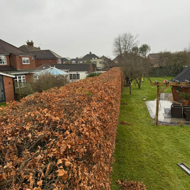 WhatsApp Image 2025-12-10 at 08.53.04 (3)