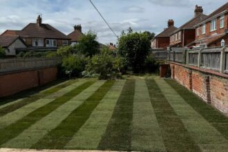 WhatsApp Image 2025-12-10 at 08.53.04