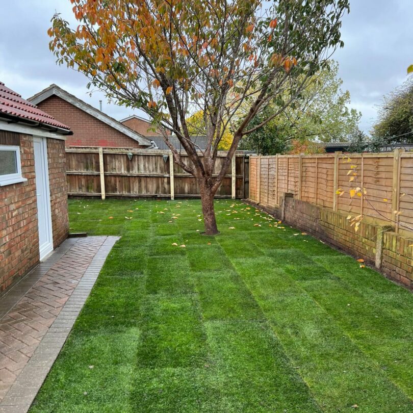 WhatsApp Image 2025-12-10 at 08.53.04 (6)