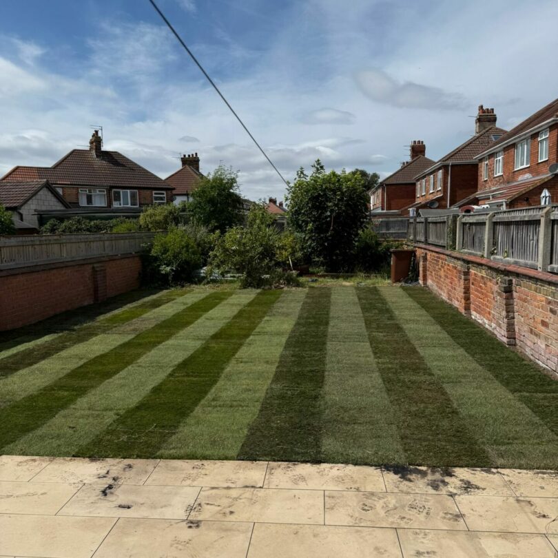 WhatsApp Image 2025-12-10 at 08.53.04